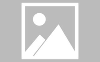 吴忠征求素材视频下载网站（素材视频免费网站）
